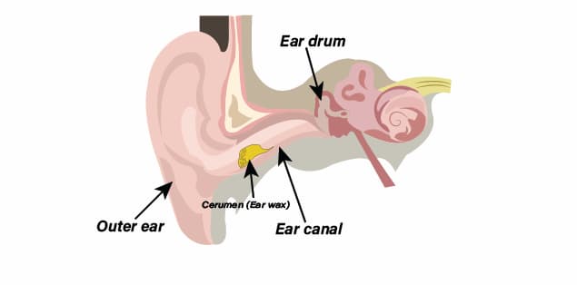 Ear wax