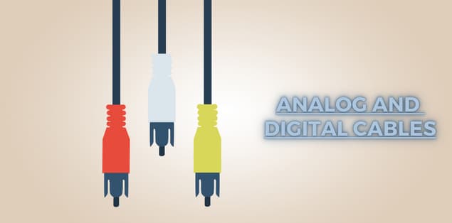 Primary Types - analog and digital