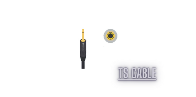 A TS cable