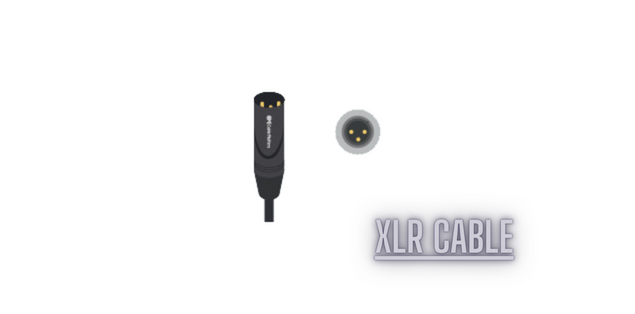 XLR Cables