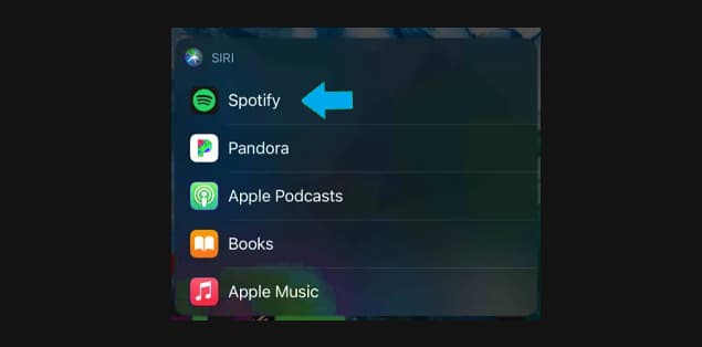 Launch the Spotify app on the device you're using.