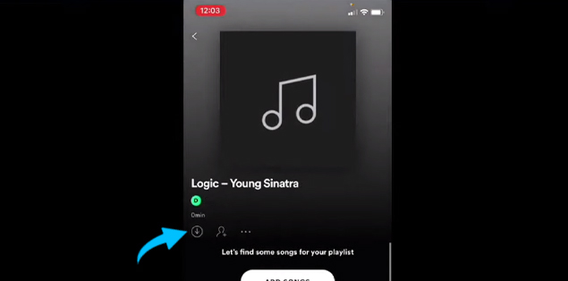 Click the down arrow button to download the playlist containing your iPhone/local iPad files.