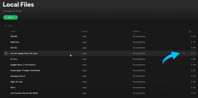 Select the three dots to the right of a song you want to play to add it to the appropriate playlist.