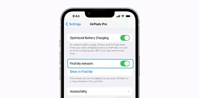 Toggle on “Find My network.”
