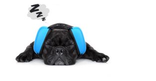 Dog Ear Muffs for Noise Protection