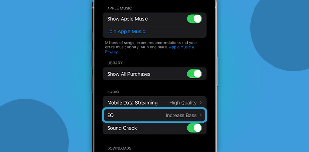 Adjust the Equalizer Settings