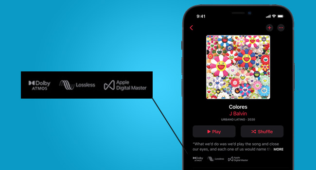 Apple Lossless Audio Codec